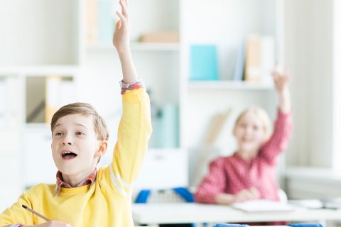 Speech and Language Assessment/Therapy